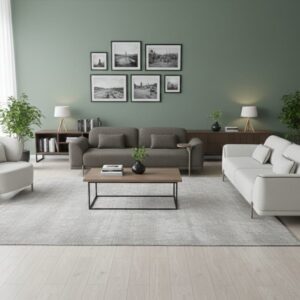 Salon moderne design